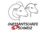 Verein Ouessantschafe Schweiz